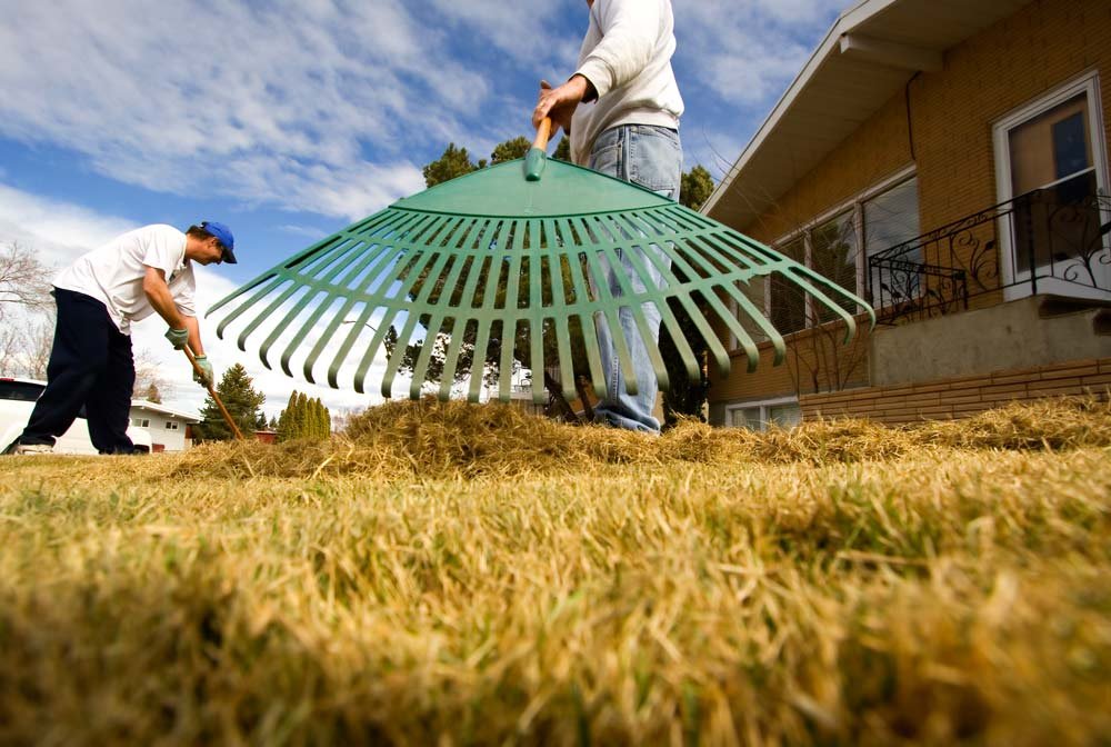 Raking Grass